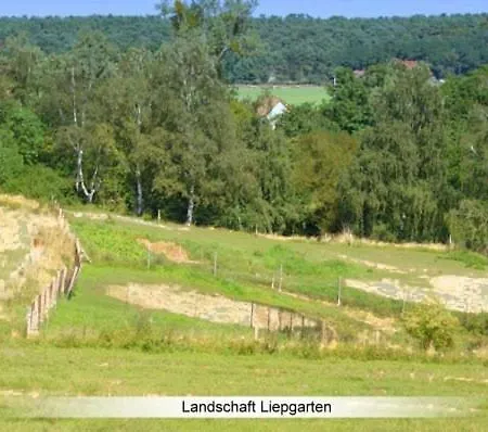 Quarto em Acomodações Particulares Suite Holiday *